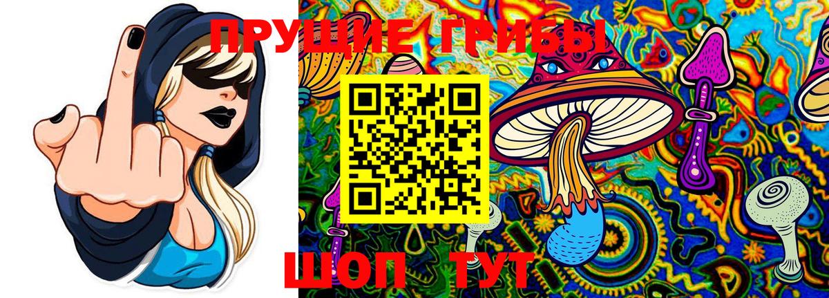 Псилоцибиновые грибы MAGIC MUSHROOMS Шарыпово